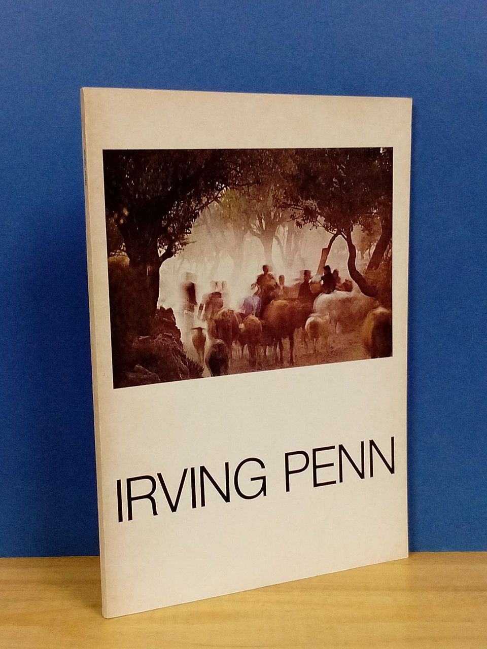 I platini di Irving Penn. 25 anni di fotografia. | Immagine principale