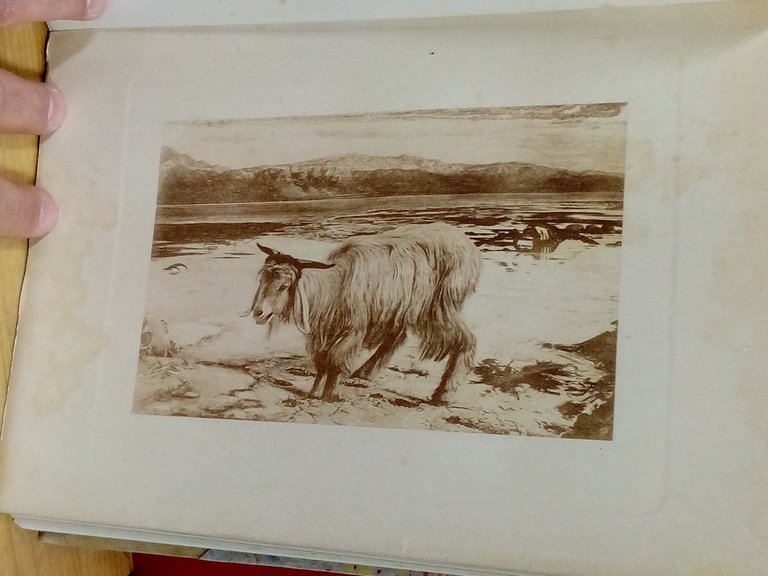 I Preraffaellisti. Contributo alla storia dell'arte. | Immagine Gallery 5