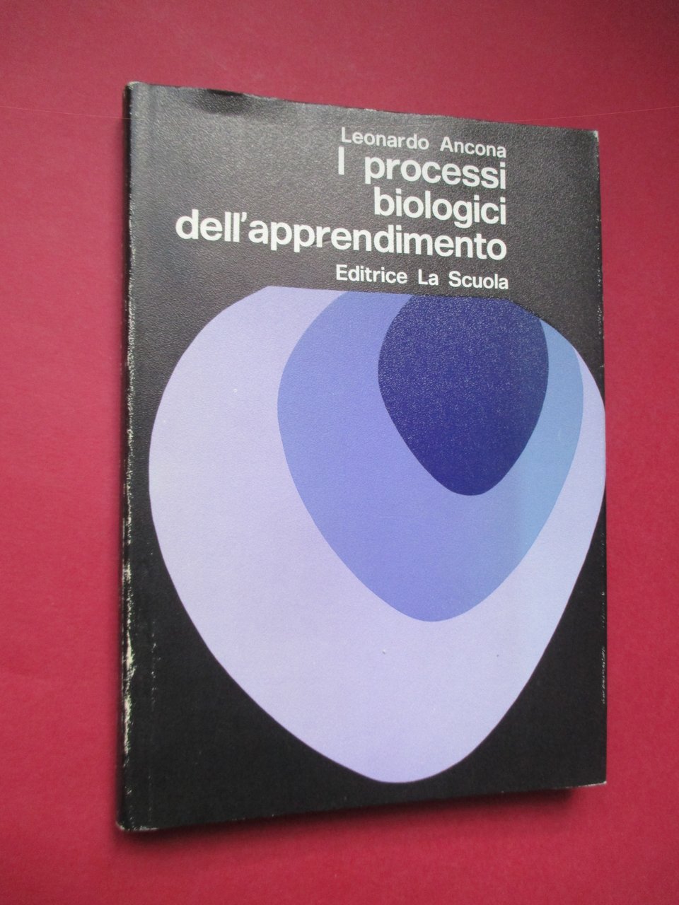 I processi biologici dell'apprendimento.