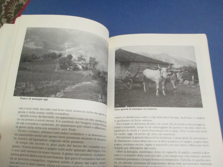 I racconti del ponte. | Immagine Gallery 7