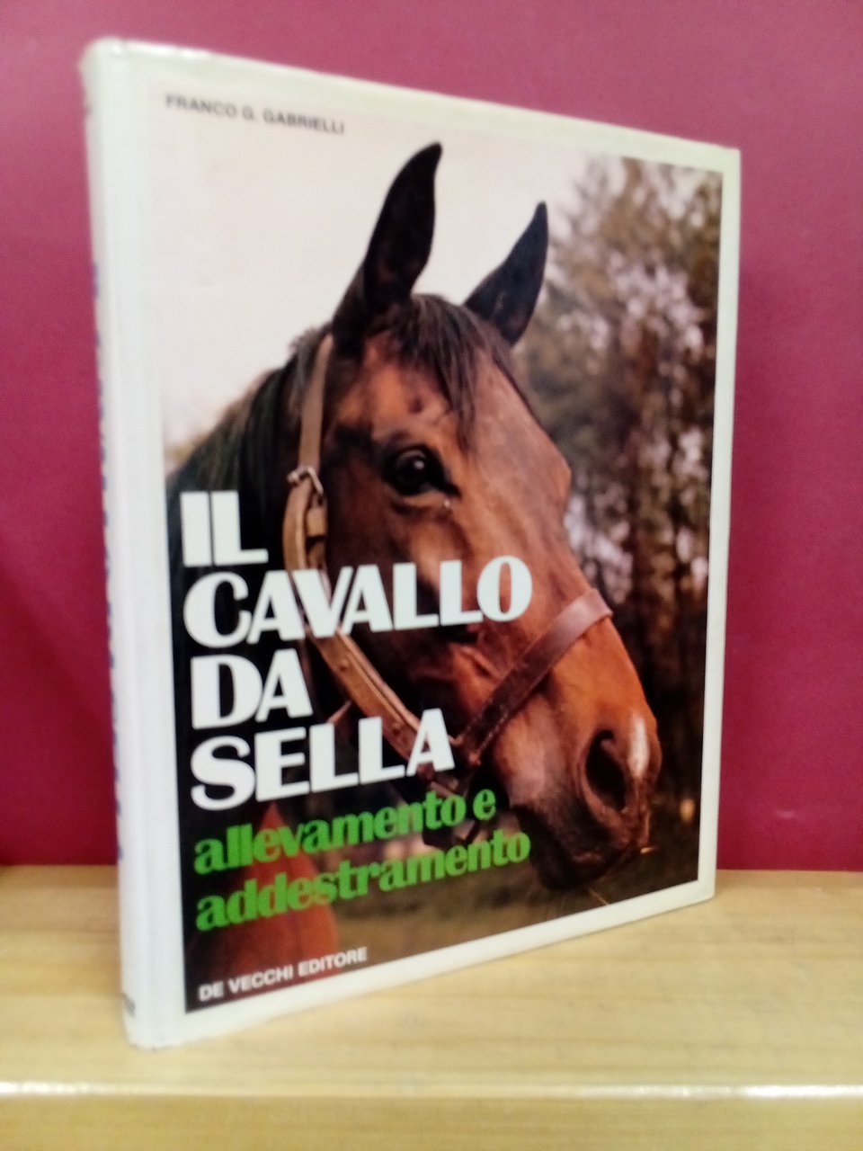 Il cavallo da sella. Allevamento e addestramento. | Immagine principale