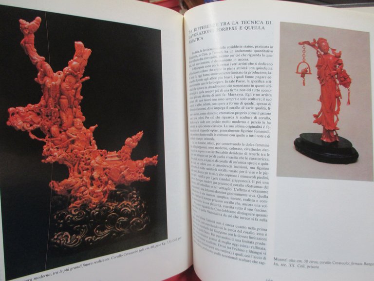 Il corallo. Esperienze e ricordi di un corallaro.