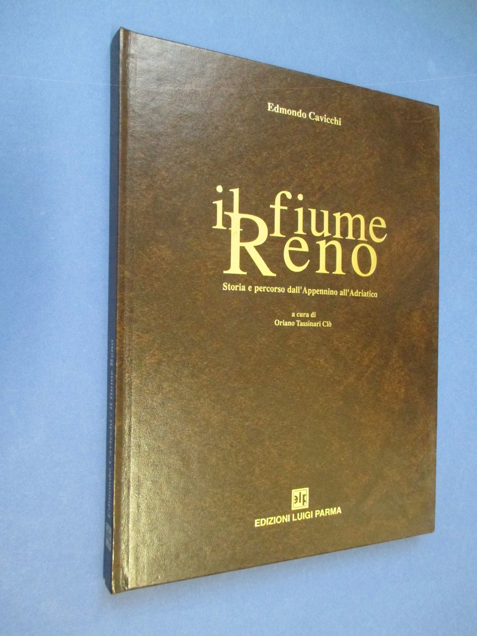 Il fiume Reno. Storia e percorso dall'Appennino all'Adriatico. A cura … | Immagine principale