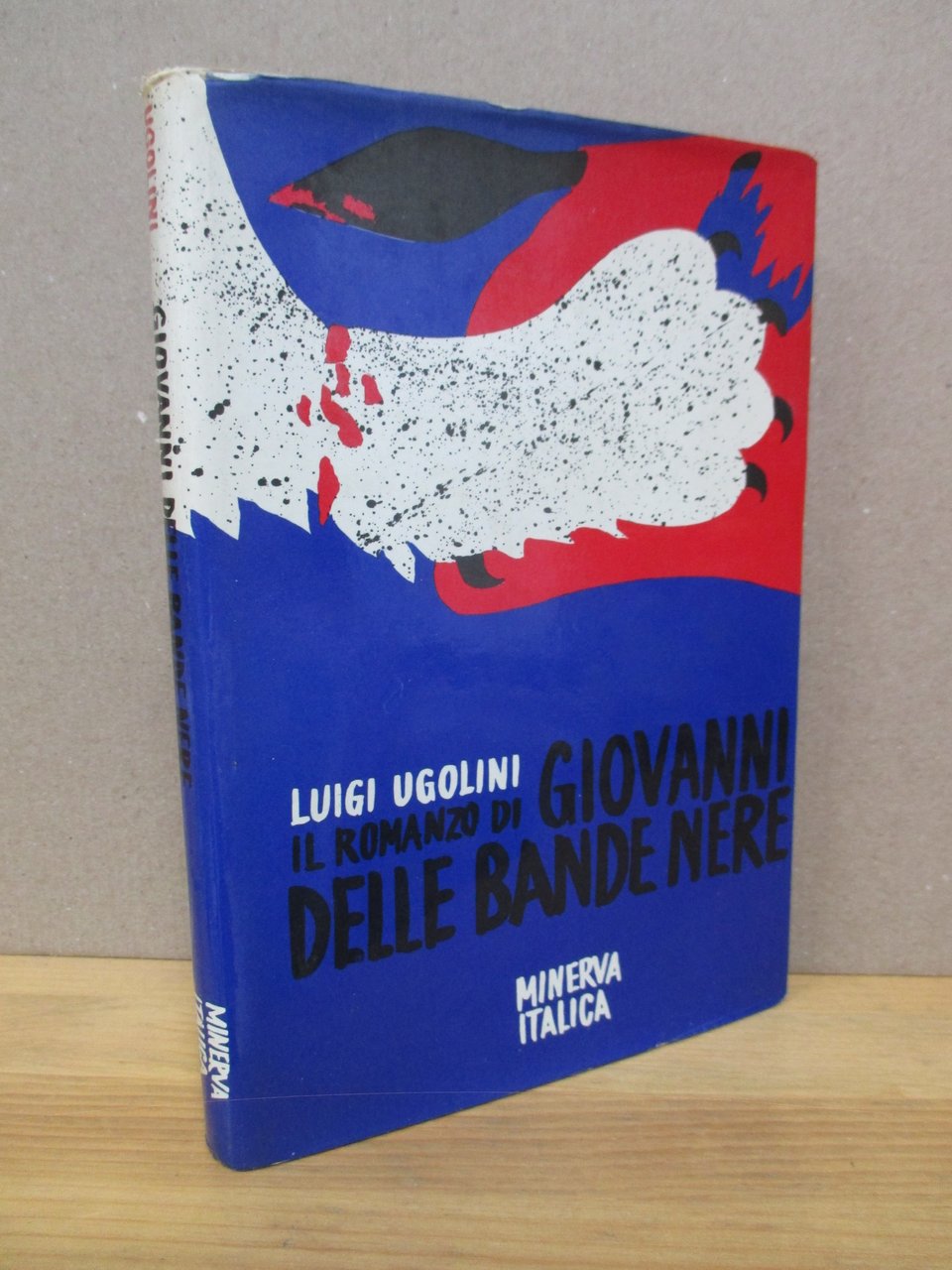 Il romanzo di Giovanni delle Bande Nere.