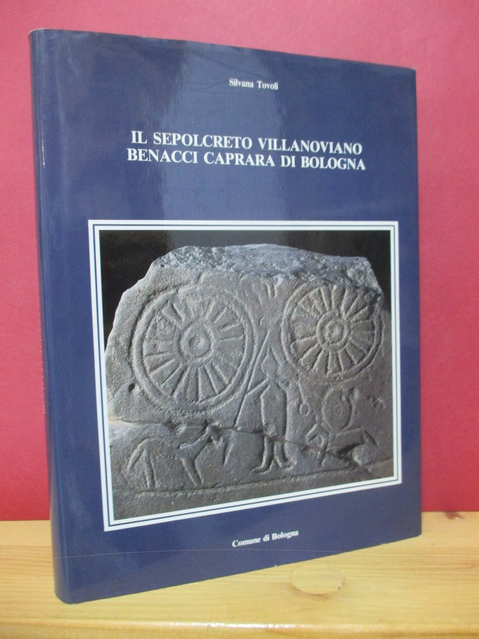 Il sepolcreto villanoviano Benacci Caprara di Bologna.