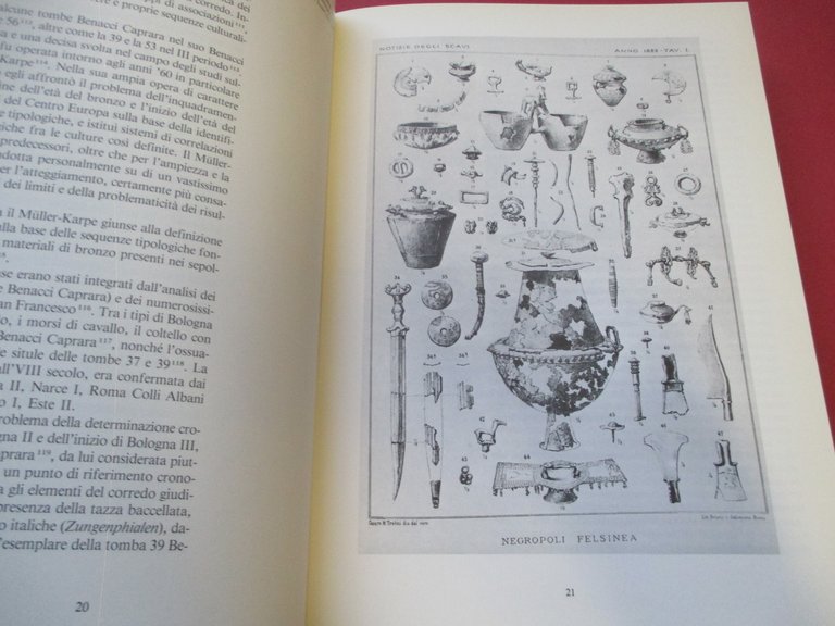 Il sepolcreto villanoviano Benacci Caprara di Bologna.