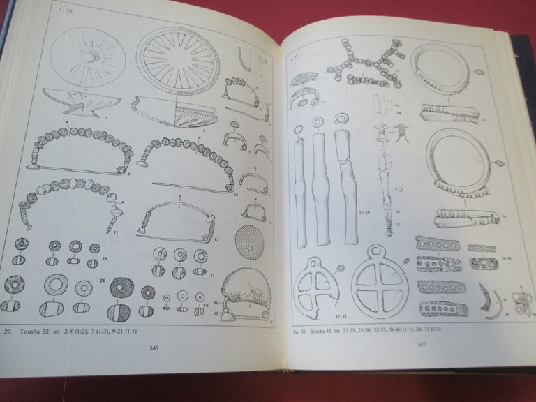 Il sepolcreto villanoviano Benacci Caprara di Bologna.