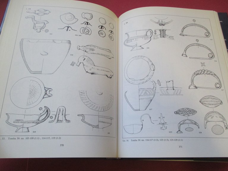 Il sepolcreto villanoviano Benacci Caprara di Bologna.