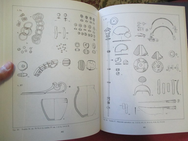 Il sepolcreto villanoviano Benacci Caprara di Bologna.