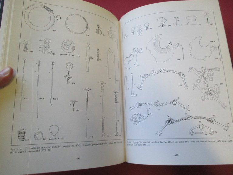 Il sepolcreto villanoviano Benacci Caprara di Bologna.