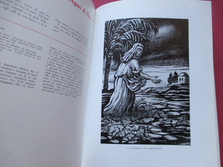 Il Vangelo. Testo dei quattro Vangeli ordinato in una sola …