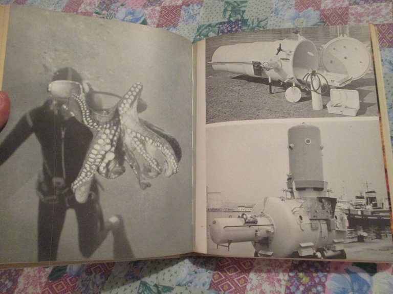 Io sub. Tecniche di immersione, acquaticità, attività subacquee.