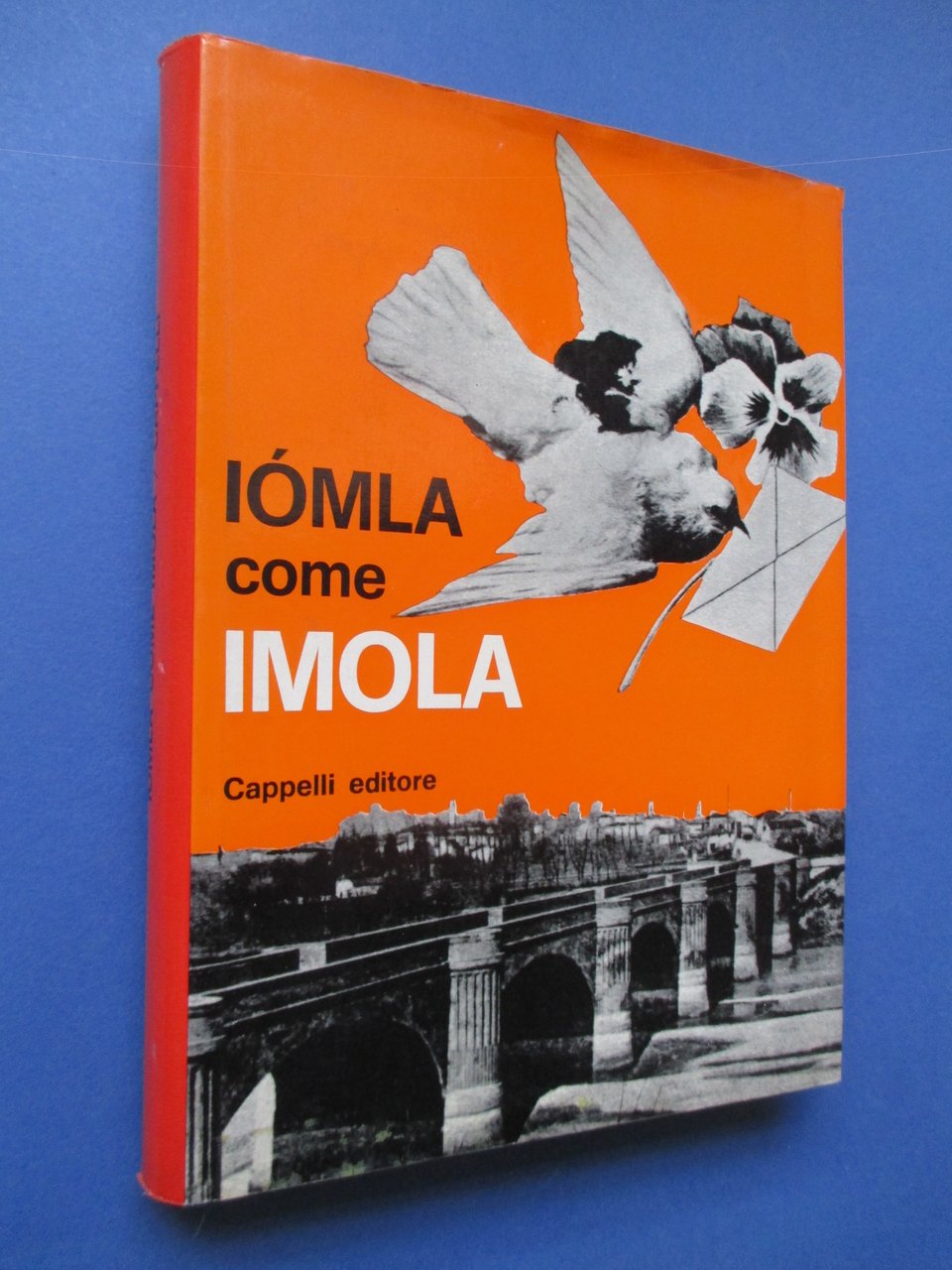 Iomla come Imola.