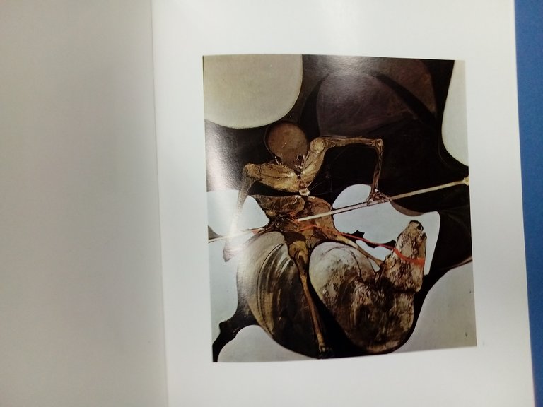 Karl Plattner. | Immagine Gallery 8