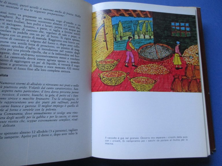 La cucina marchigiana. Tra storia e folclore.