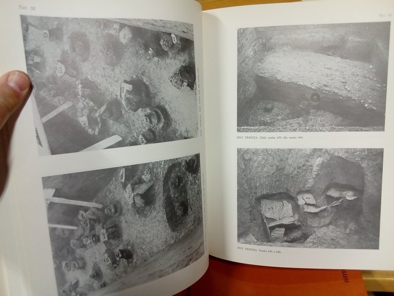 La necropoli villanoviana di San Vitale. Volume primo / secondo. | Immagine Gallery 3