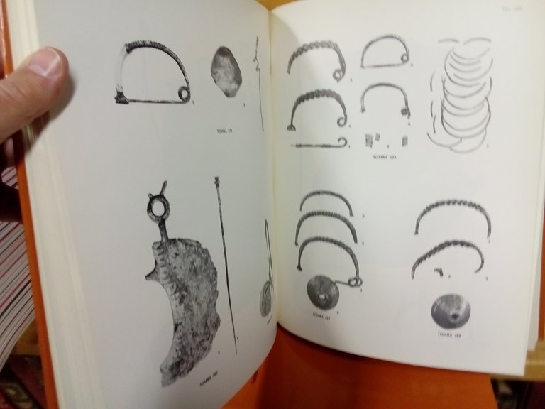 La necropoli villanoviana di San Vitale. Volume primo / secondo. | Immagine Gallery 4