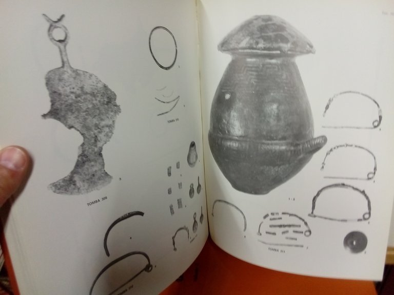 La necropoli villanoviana di San Vitale. Volume primo / secondo. | Immagine Gallery 5