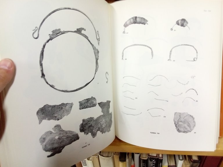 La necropoli villanoviana di San Vitale. Volume primo / secondo. | Immagine Gallery 6