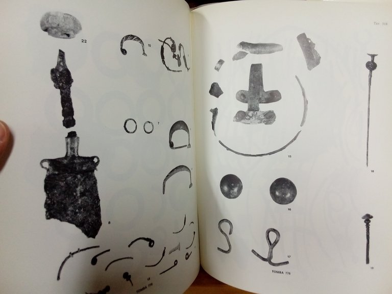 La necropoli villanoviana di San Vitale. Volume primo / secondo. | Immagine Gallery 7