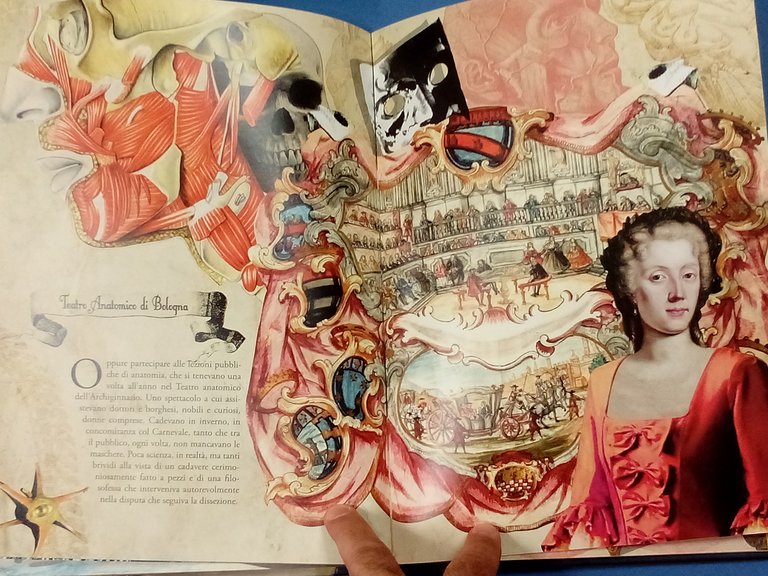 Laura Bassi. Minerva Bolognese. | Immagine Gallery 5