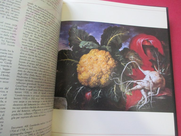 Le belle forme della natura. La pittura di Bartolomeo Bimbi …