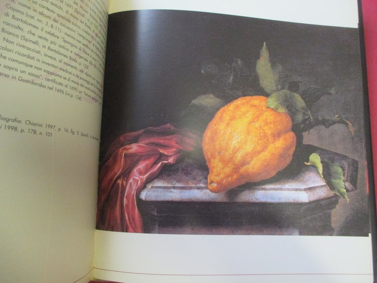 Le belle forme della natura. La pittura di Bartolomeo Bimbi …