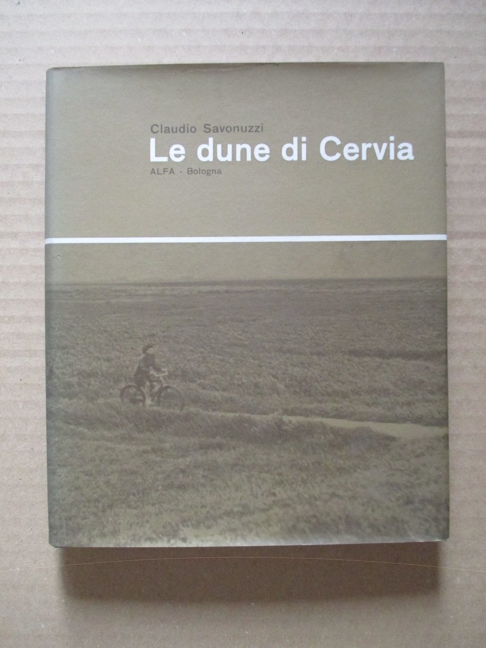 Le dune di Cervia.