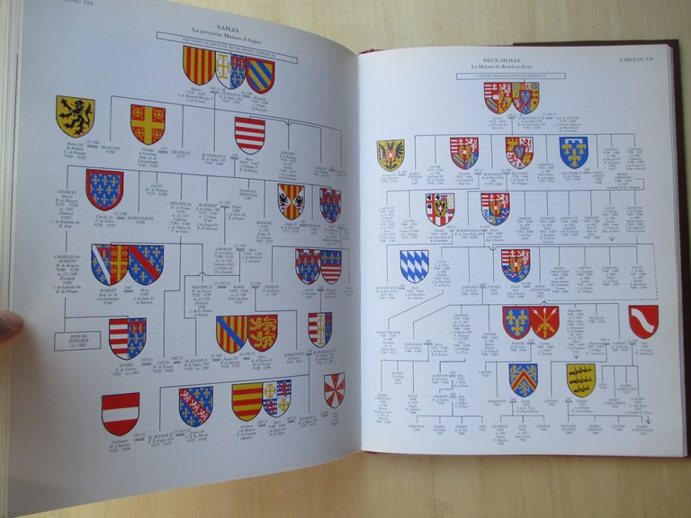 Les dynasties d'Europe. Héraldique et généalogie des familles impériales et …