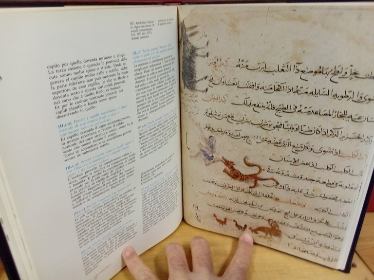 Liber de homine. Il Perchè. | Immagine Gallery 4