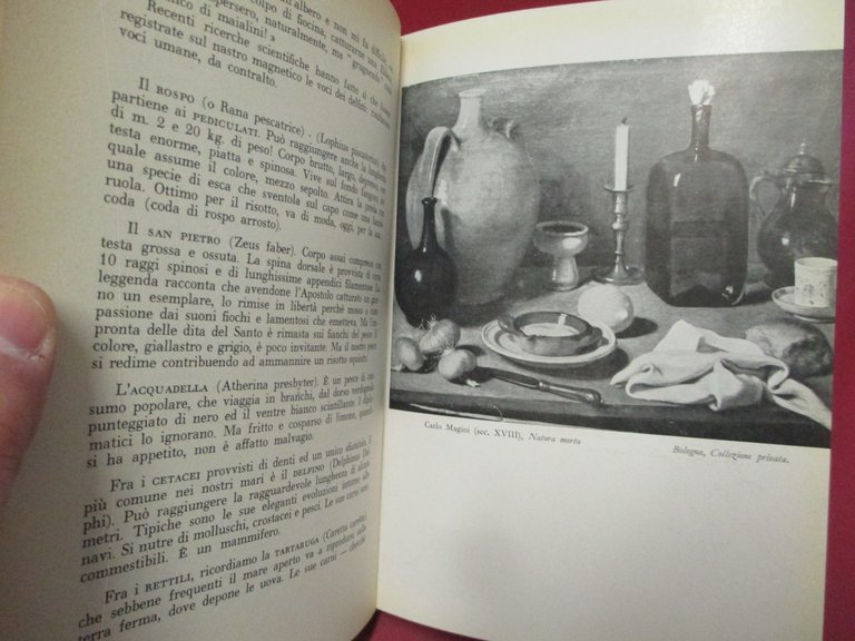 Mangiari di Romagna.