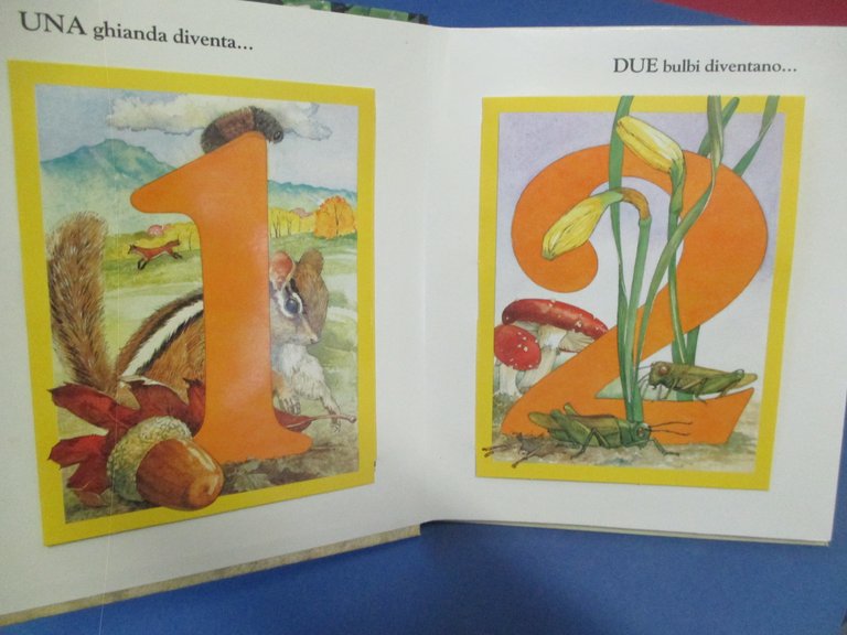 Natura e numeri. Un libro animato con sorprese.