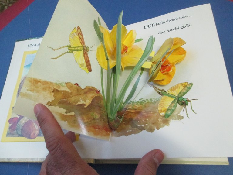 Natura e numeri. Un libro animato con sorprese.