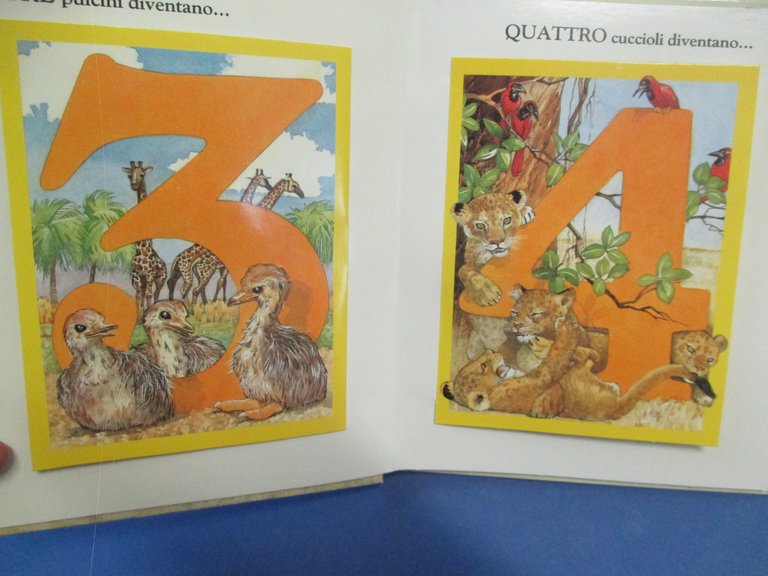 Natura e numeri. Un libro animato con sorprese.