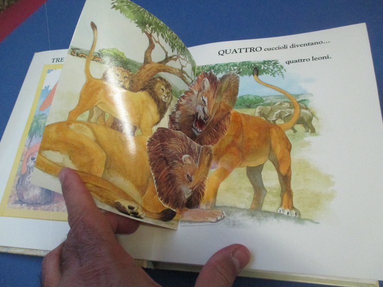 Natura e numeri. Un libro animato con sorprese.