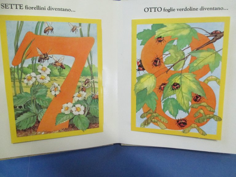 Natura e numeri. Un libro animato con sorprese.