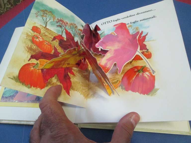 Natura e numeri. Un libro animato con sorprese.