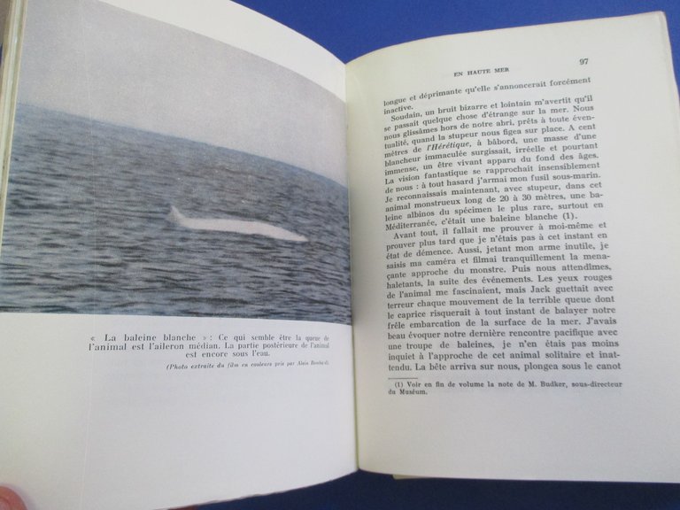 Naufragé volontaire.