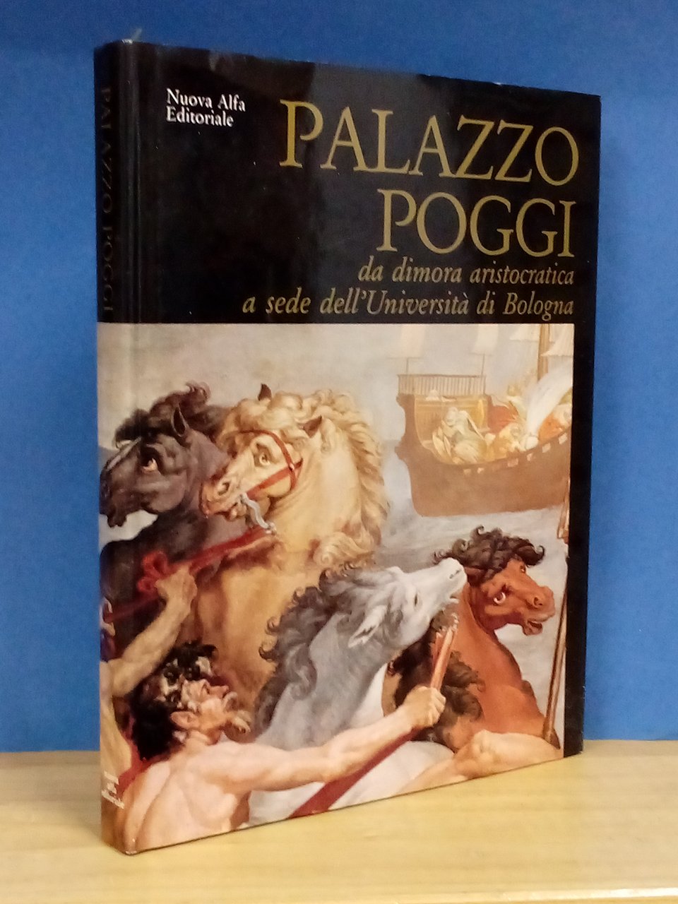Palazzo Poggi. Da dimora aristocratica a sede dell'Università di Bologna. | Immagine principale
