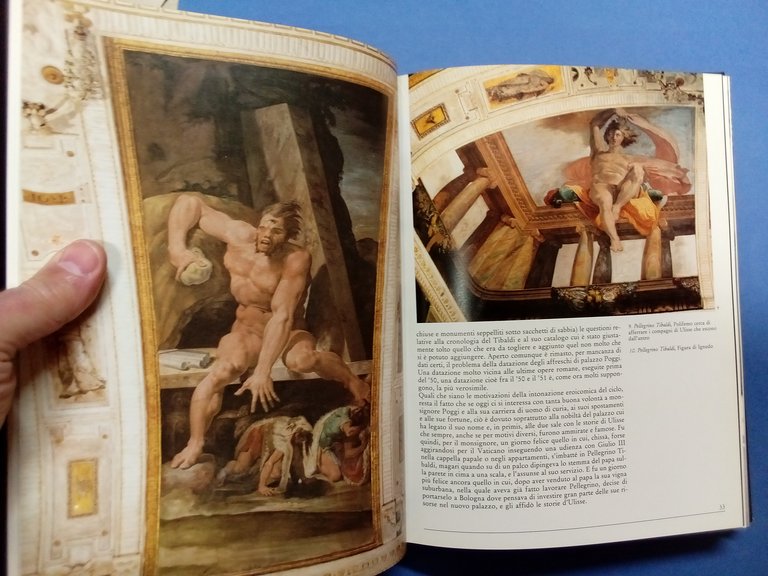 Palazzo Poggi. Da dimora aristocratica a sede dell'Università di Bologna. | Immagine Gallery 2