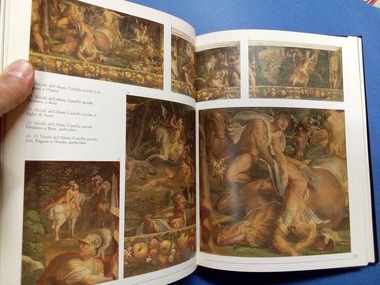 Palazzo Poggi. Da dimora aristocratica a sede dell'Università di Bologna. | Immagine Gallery 3