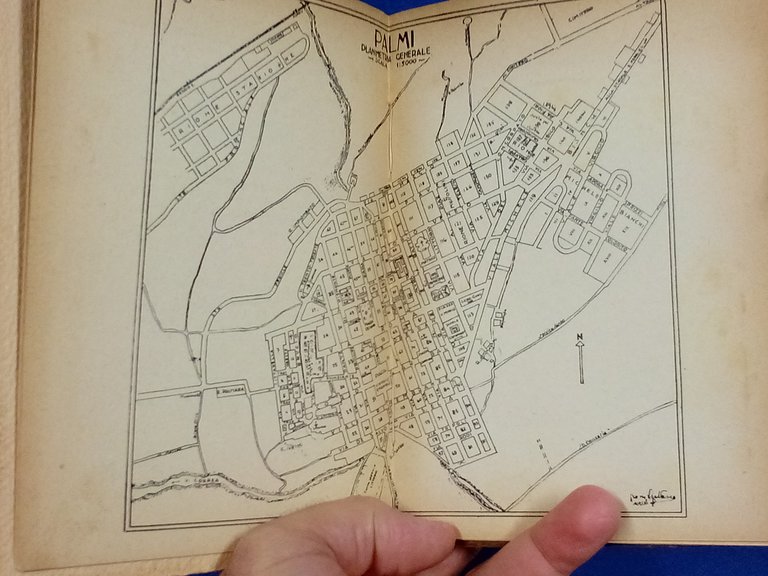 Palmi città panoramica ( dagli scrittori stranieri ). | Immagine Gallery 2