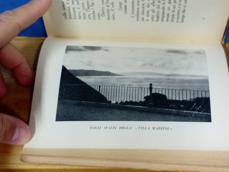 Palmi città panoramica ( dagli scrittori stranieri ). | Immagine Gallery 3