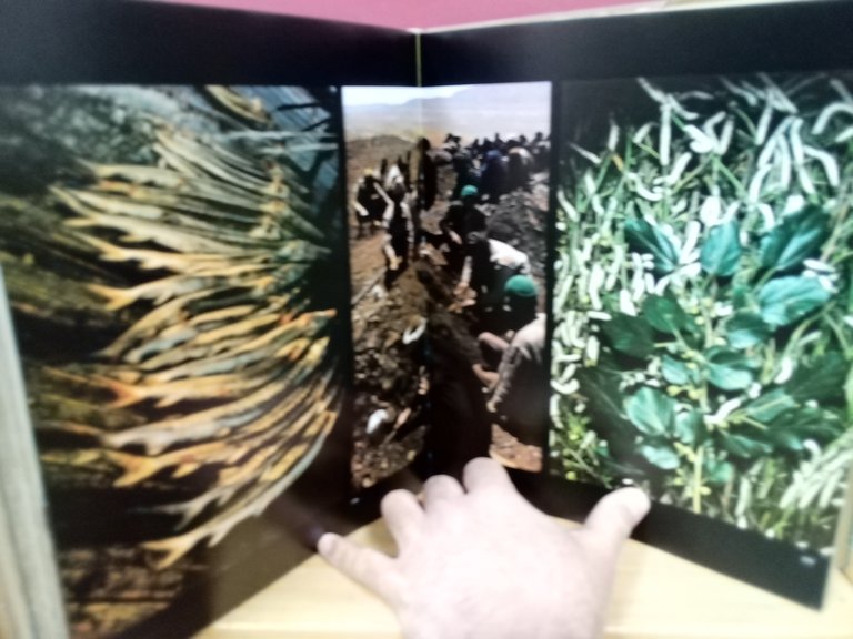 Persia. Un ponte di turchese. | Immagine Gallery 6