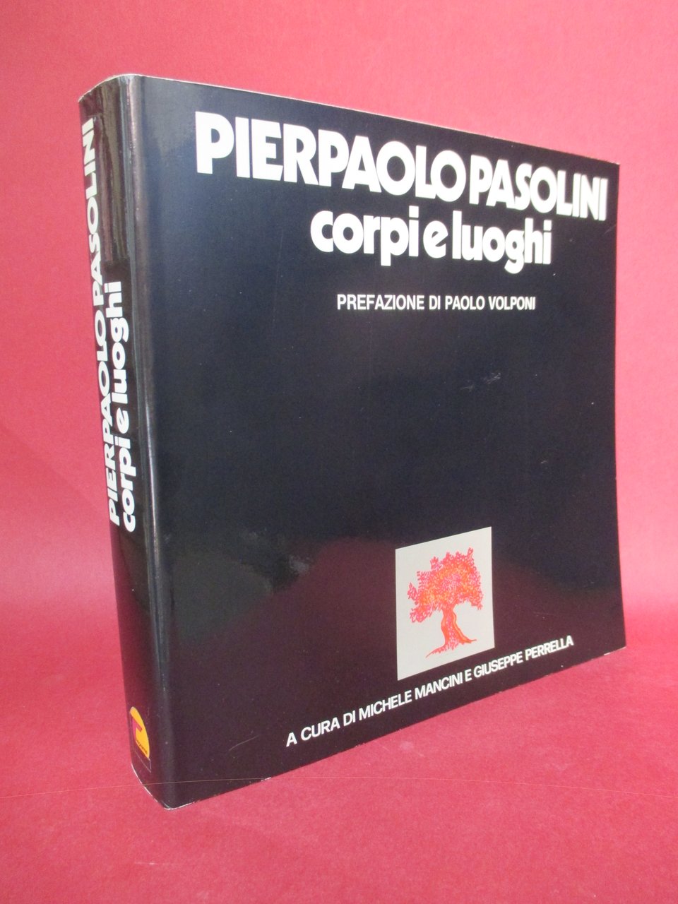 Pier Paolo Pasolini. Corpi e luoghi. A cura di Michele …