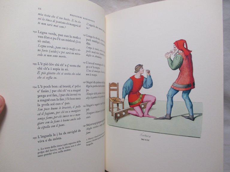 Proverbi romagnoli.