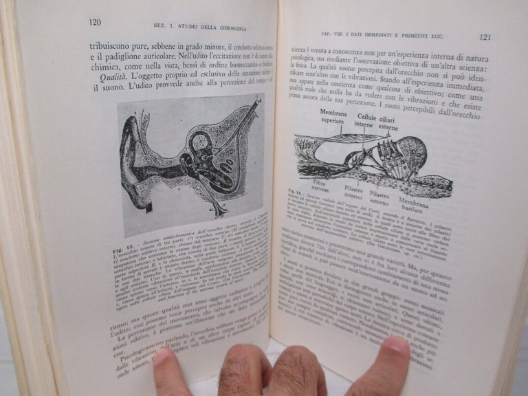 Psicologia sperimentale e filosofica.