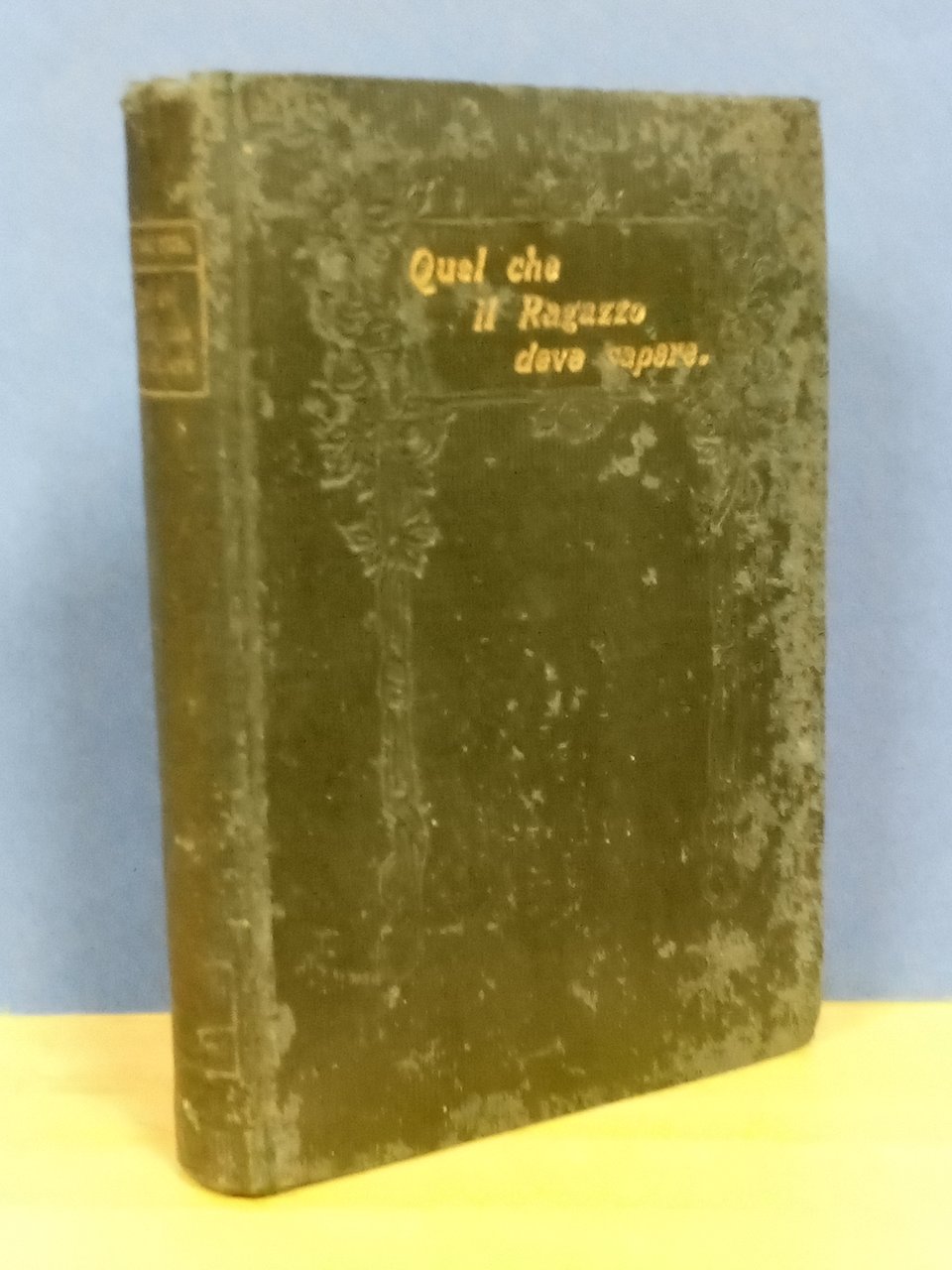 Quel che il ragazzo deve sapere. Versione dall'inglese di Ernesto … | Immagine principale