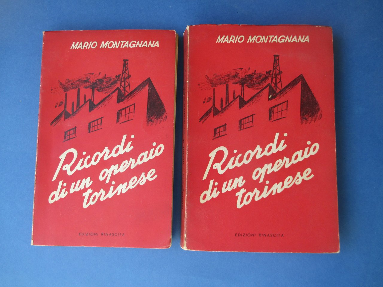 Ricordi di un operaio torinese. Vol. I: Sotto la guida …