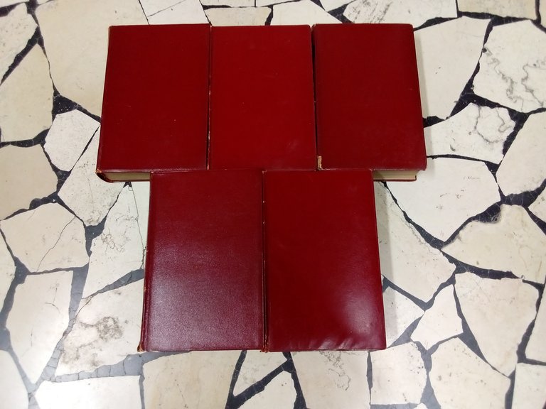 Romanzi e taccuini. Vol. I: Delitto e castigo / Taccuini … | Immagine Gallery 4